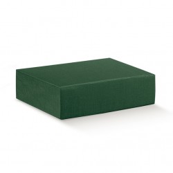 Dėžutė / žalia (1 vnt./340x280x90  mm.) - 1
